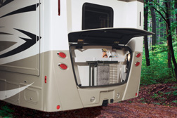 �����X�g���[�W �R���p�[�g�����g (�O���V�����[/�d���R�[�h)